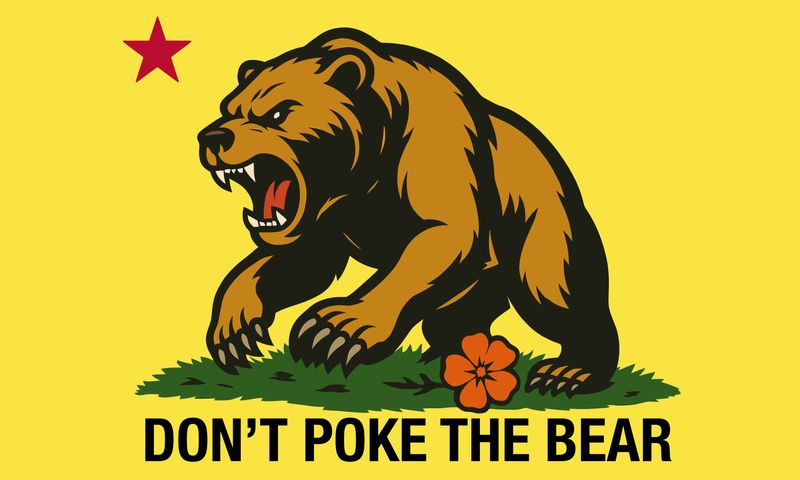 Don't Poke the Bear – Flag (Yellow, Double Sided)