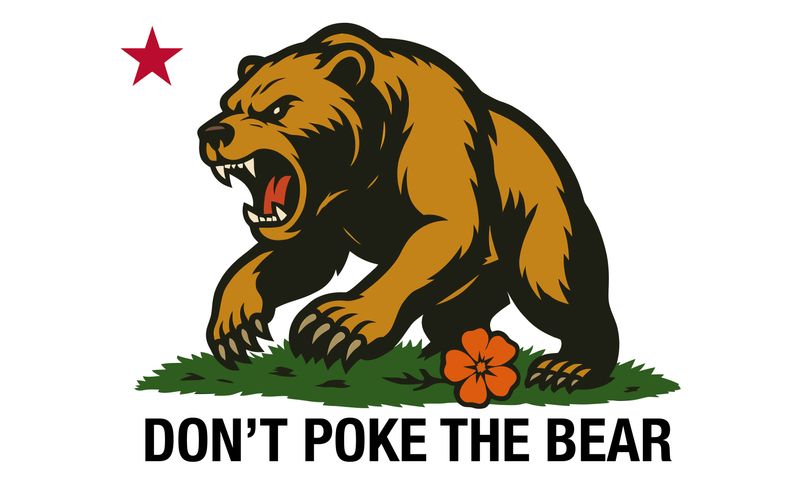 Don't Poke the Bear – Flag (White, Double Sided)